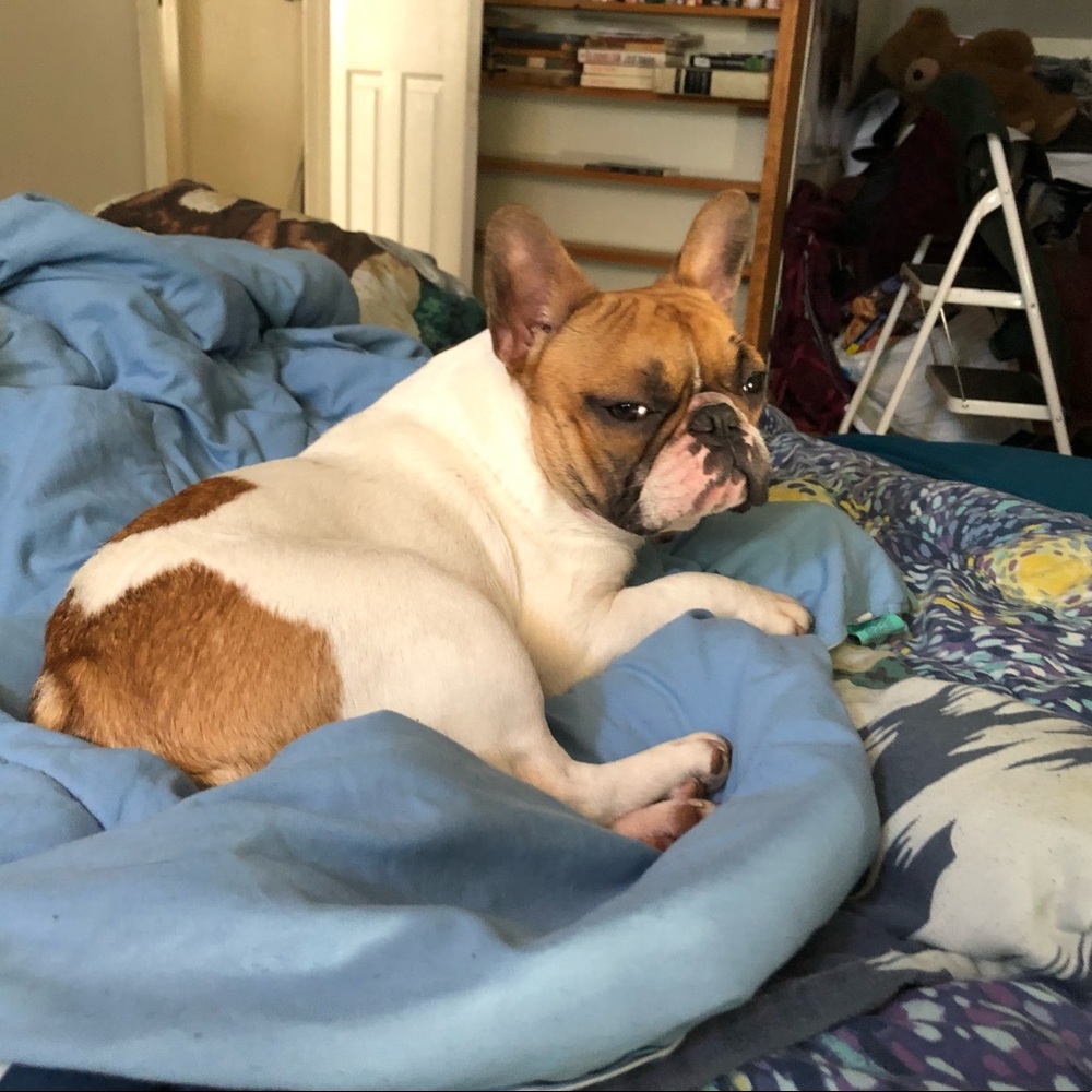 Meet your Posher, Charlie